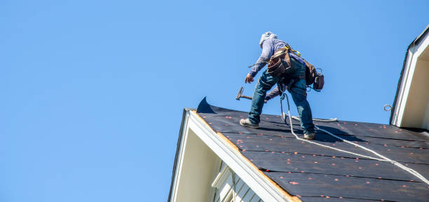 Best Roof Restoration Services  in Winnie, TX